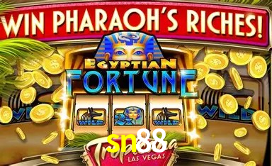 Sistemas de Segurança sn88