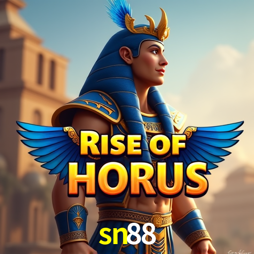 Account Benefits sn88